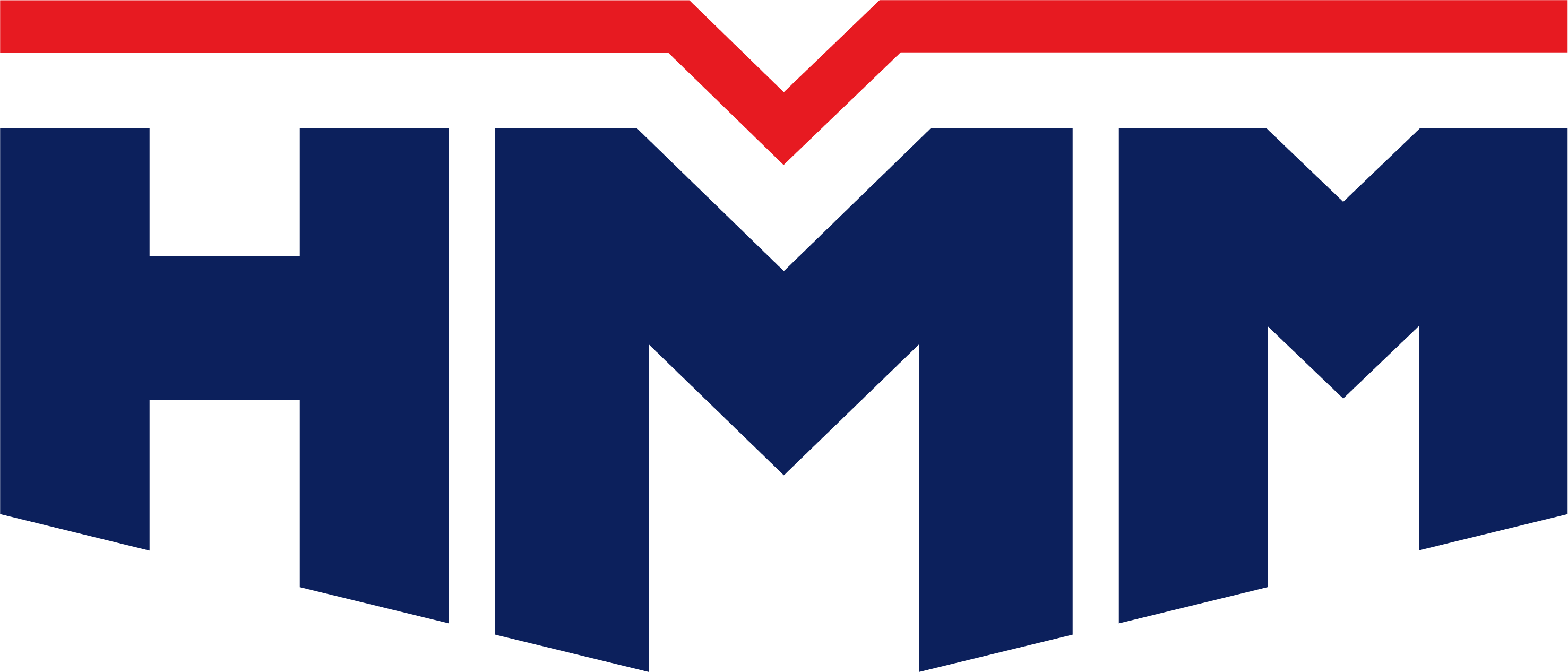 HMM Logo Basic Form 1