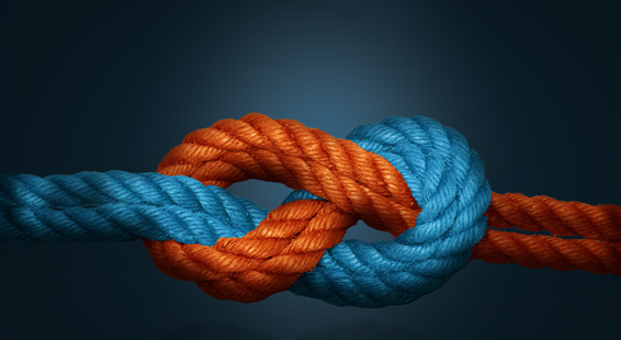 Maersk and Hapag-Lloyd announce two ocean network options with equal industry-leading schedule reliability